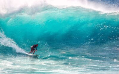 Surf Performance Training