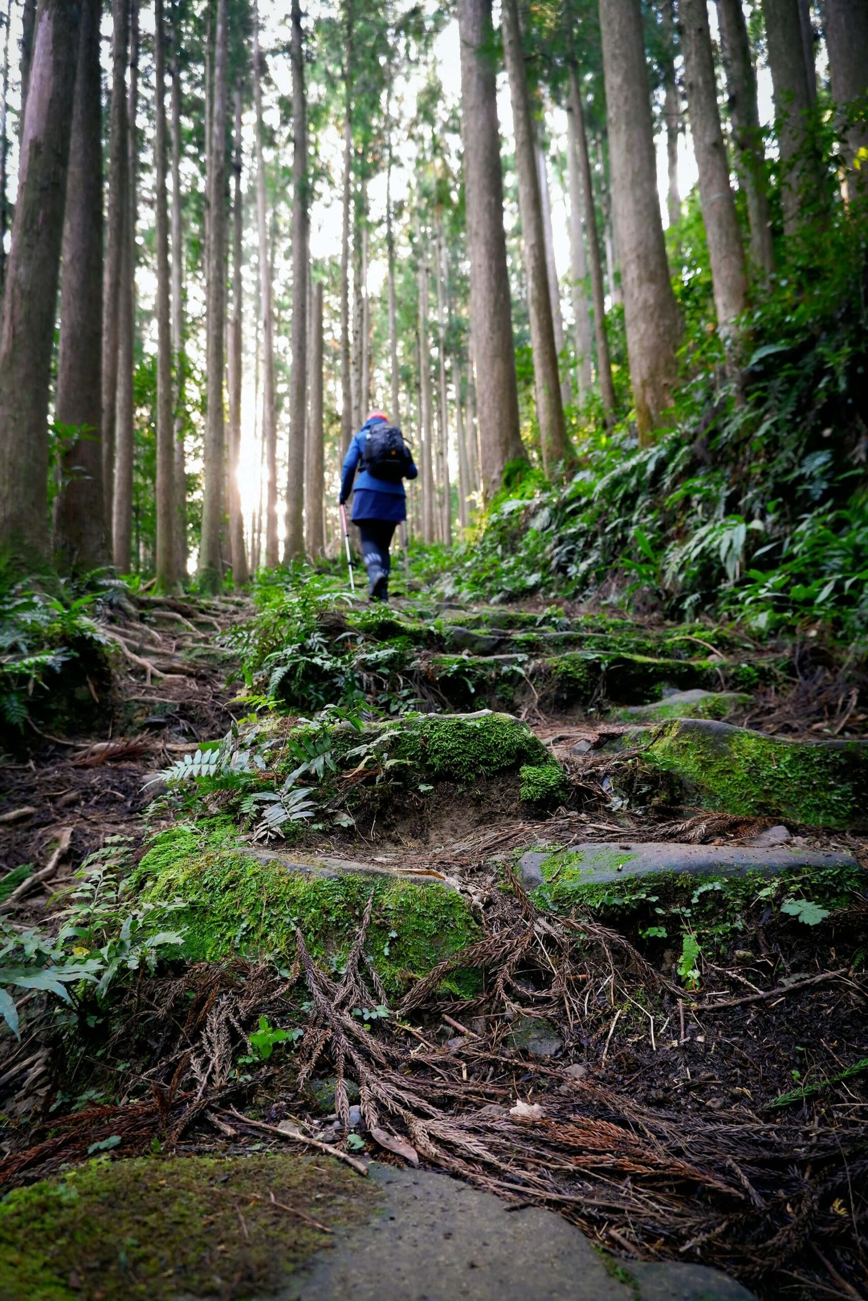 Why Japanese Walking Could Be the Easiest Way to Boost Your Health